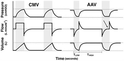 Apneustic anesthesia ventilation improves pulmonary function in anesthetized bottlenose dolphins (Tursiops truncatus)